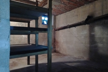 IMG_20250510_121741_501