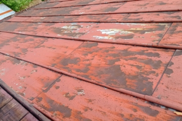 IMG_20250610_144202_546