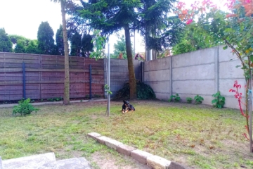 IMG_20250612_152633_505