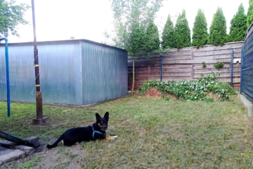 IMG_20250612_162728_138